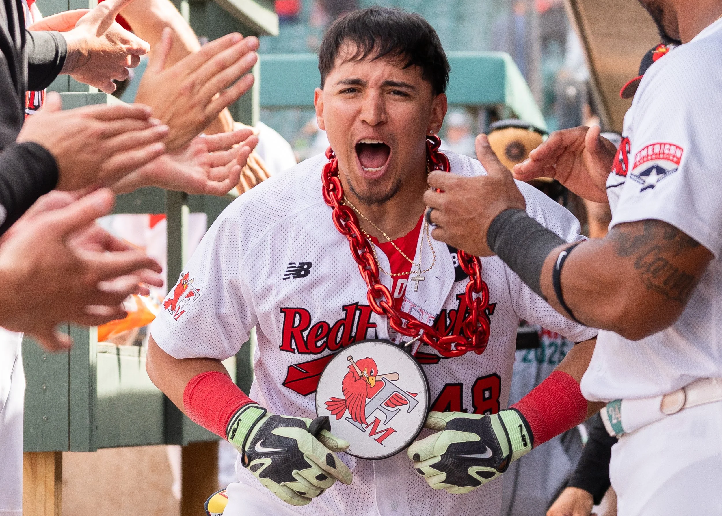 260614_FMRedHawks_vs_WPGGoldeyes_G3_DylanE_28.jpg