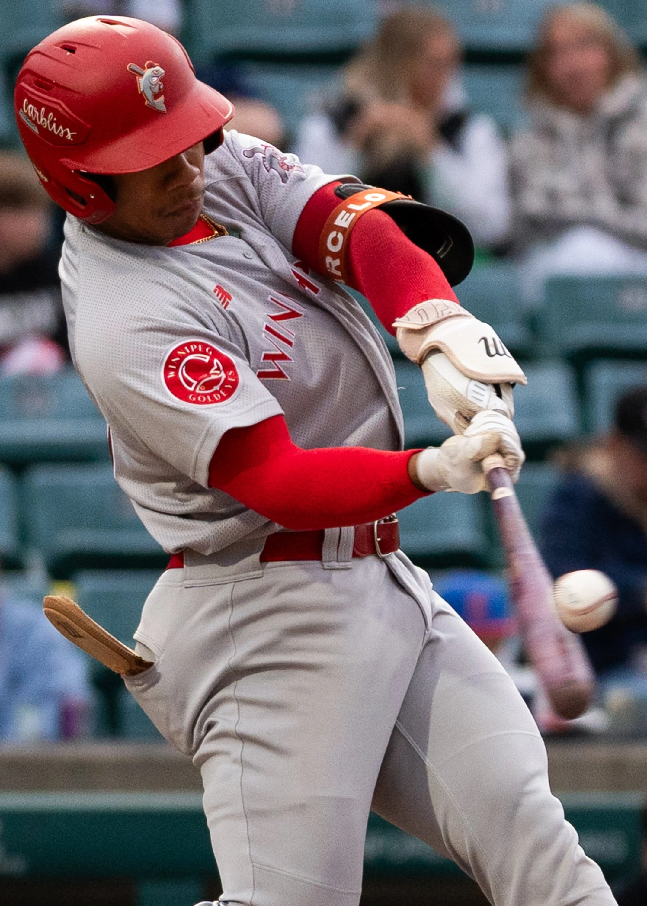 260613_FMRedHawks_vs_WPGGoldeyes_G2_DylanE_16.jpg