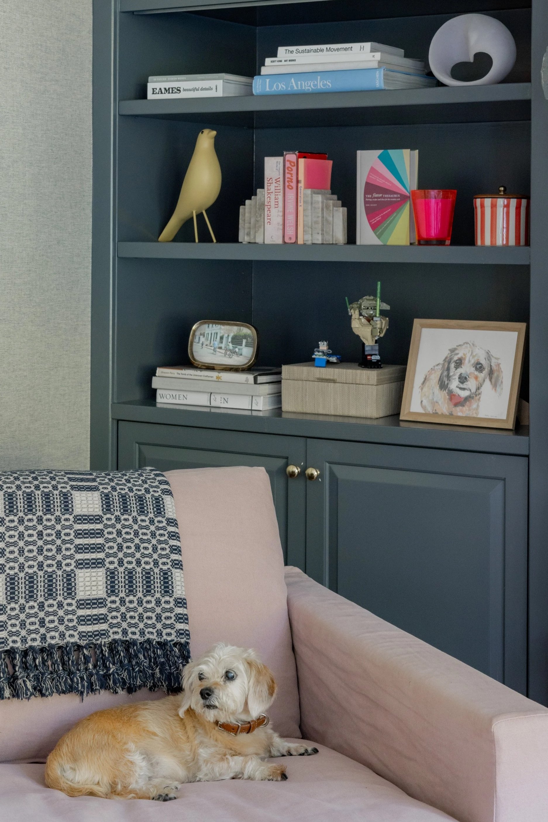 A living room scene with a pink sofa, a dog lying on the sofa, and a built-in bookshelf painted in dark teal. The bookshelf contains books, decorative objects like a yellow bird figurine, a framed portrait of a dog, and a Lego sculpture. The dog's he