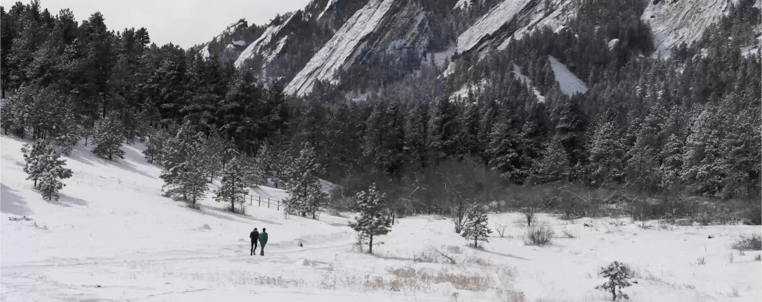 Screenshot 2026-04-16 at 3.05.05 PM.png