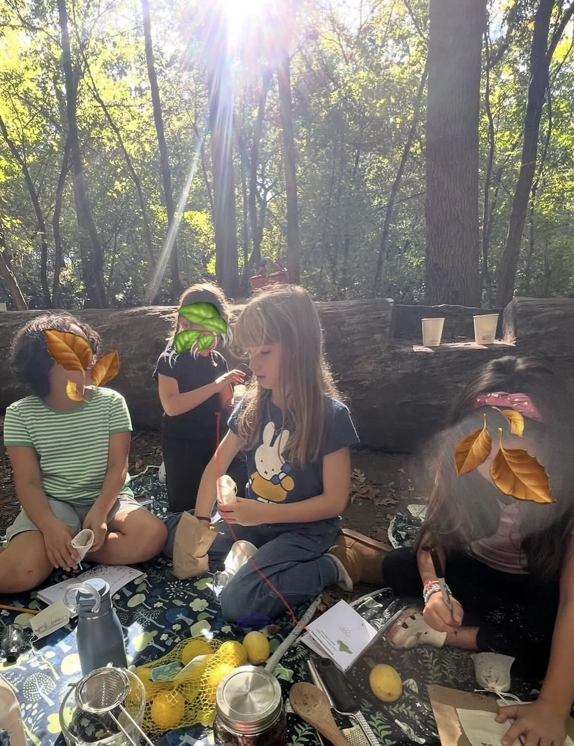 Green magic kids smelling lemon balm and recording in their observations in their plant journals. 