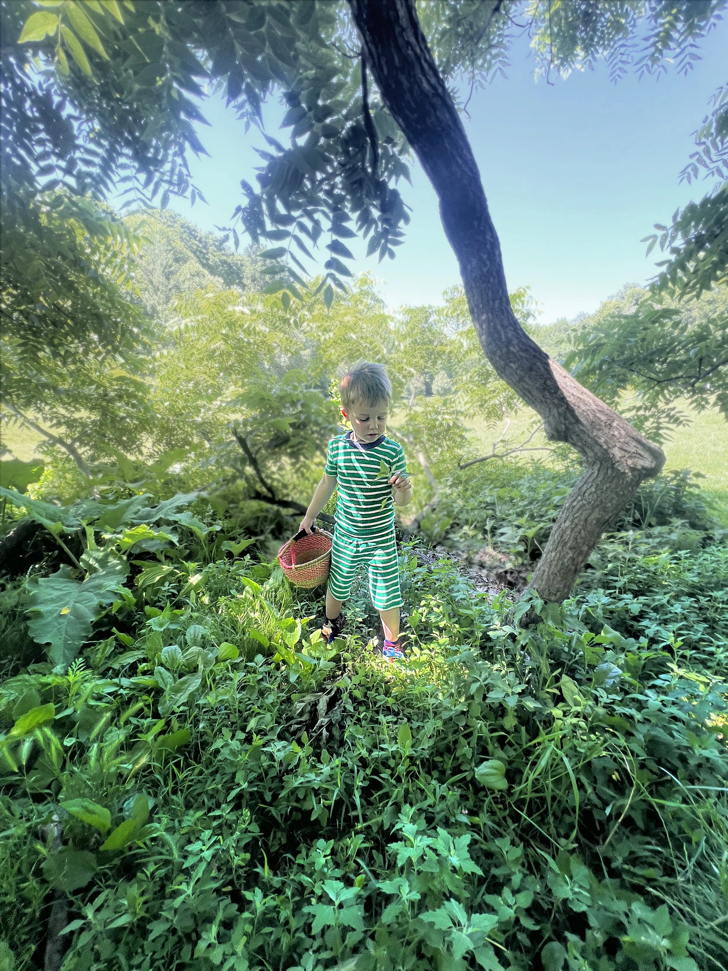 A little foraging