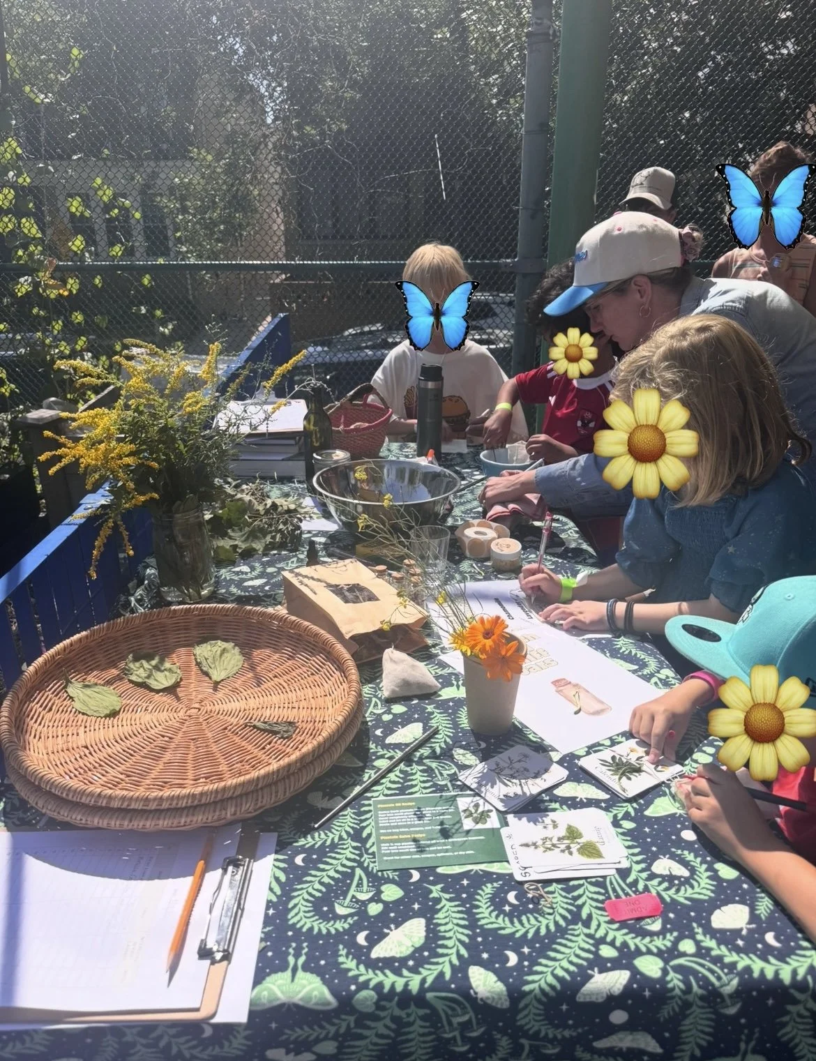 Green magic kids activity table at PS 154 in Windsor Terrace, Brooklyn. 