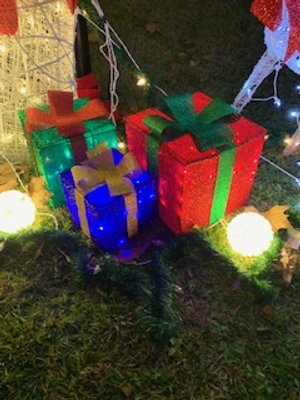 IMG_4012.jpg