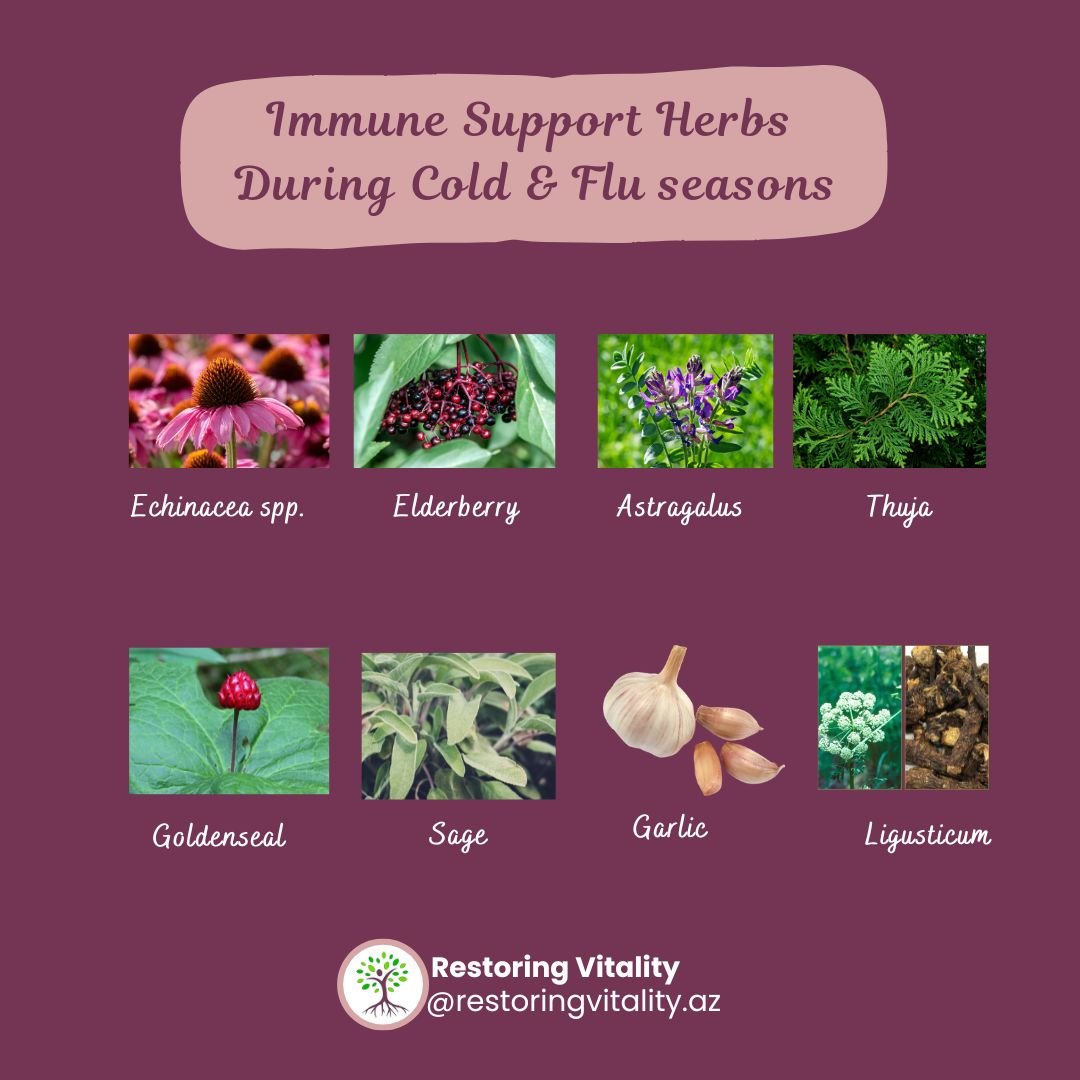 Disclaimer: The information provided in this post is for educational purposes only and is not intended to replace professional medical advice, diagnosis, or treatment. Always consult with your licensed healthcare provider before starting any new heal