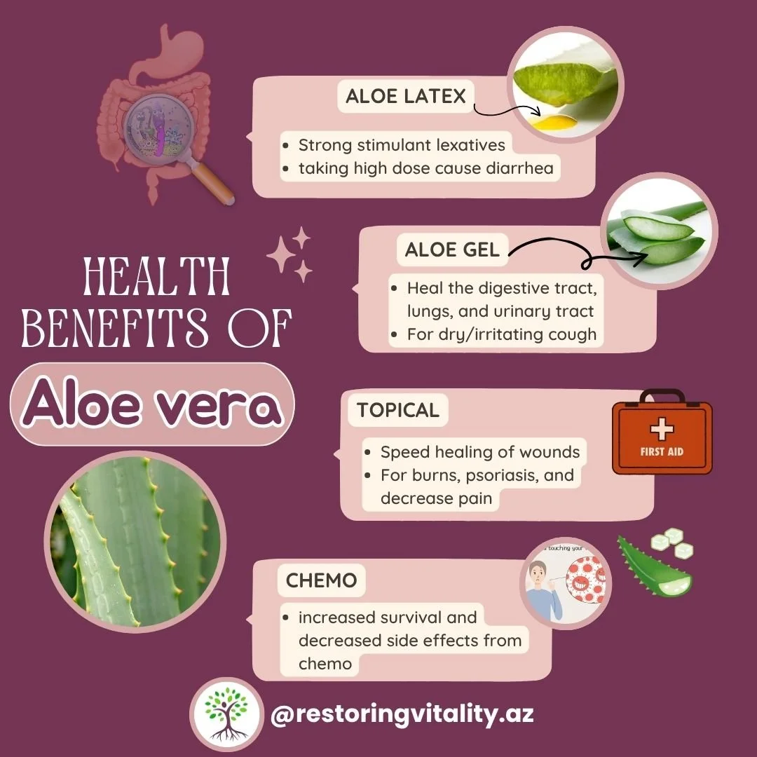 🍃Aloe vera has two different medicines: Latex &amp; Gel 🌵
-
Aloe Latex: is a solid residue from scoring the leaf, which is known for its potent stimulant laxative. 🚽
-
Aloe Gel: contains mucilaginous (moistening and cooling). Aloe gel used interna