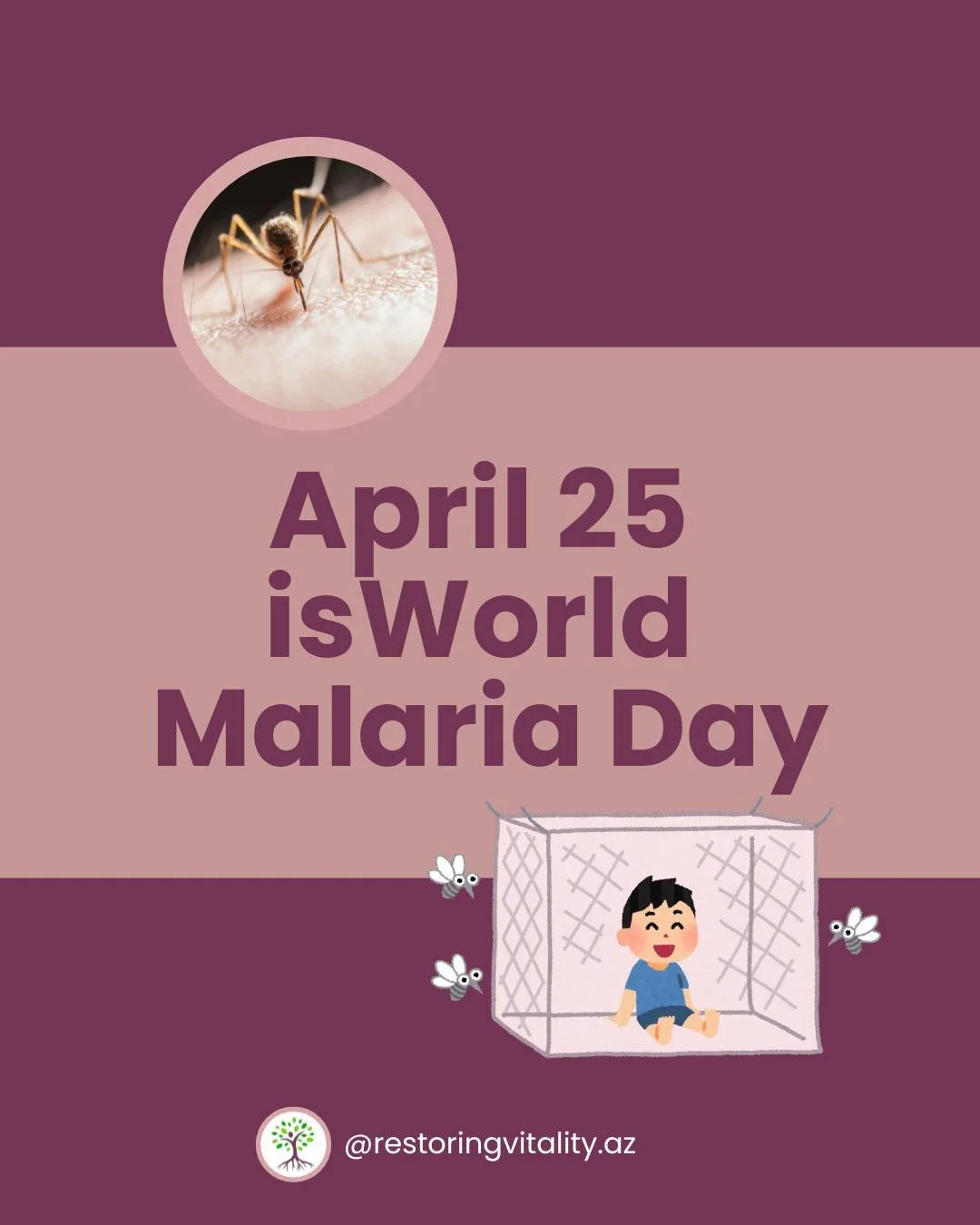 🦟April 25 is World Malaria Day! 🦟

This post is dedicated to my Karen people who live in Myanmar/Thailand, especially in the mountain regions. Stay SAFE &amp; stay HEALTHY

&bull; Malaria is a disease caused by the parasite Plasmodium (Mosquito).🦟