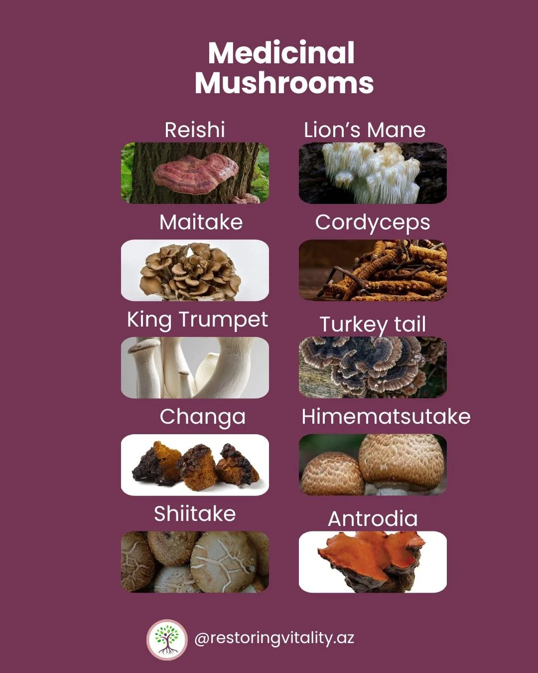 🍄 Medicinal Mushrooms 🍄
Reishi
Lion&rsquo;s Mane
Maitake
Cordyceps
King Trupet
Turkey tail
Changa
Himematsutake
Shiitake
King Trumpet
.
Restoring Vitality provides integrative naturopathic and acupuncture care tailored to digestive health, chronic 