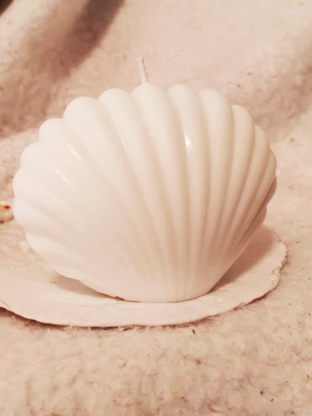 Natural SeaShell Candle