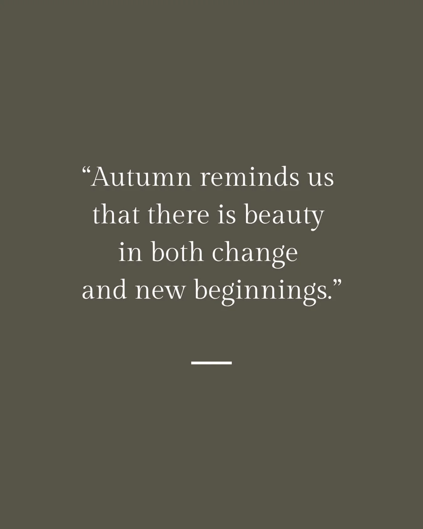 🍂🍁🍂🍁