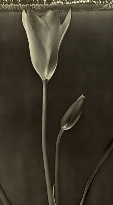 Tom Baril