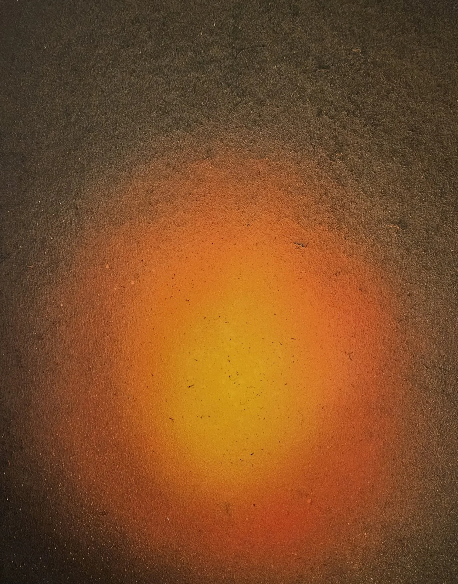 20260403_154244_resized (1).jpg