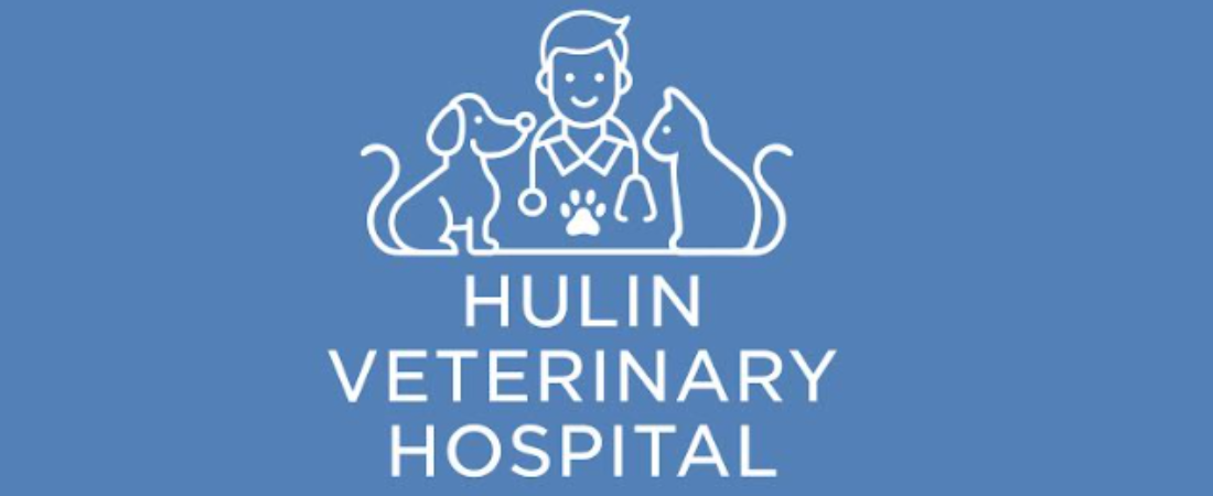 Hulin Veterinary Hospital 