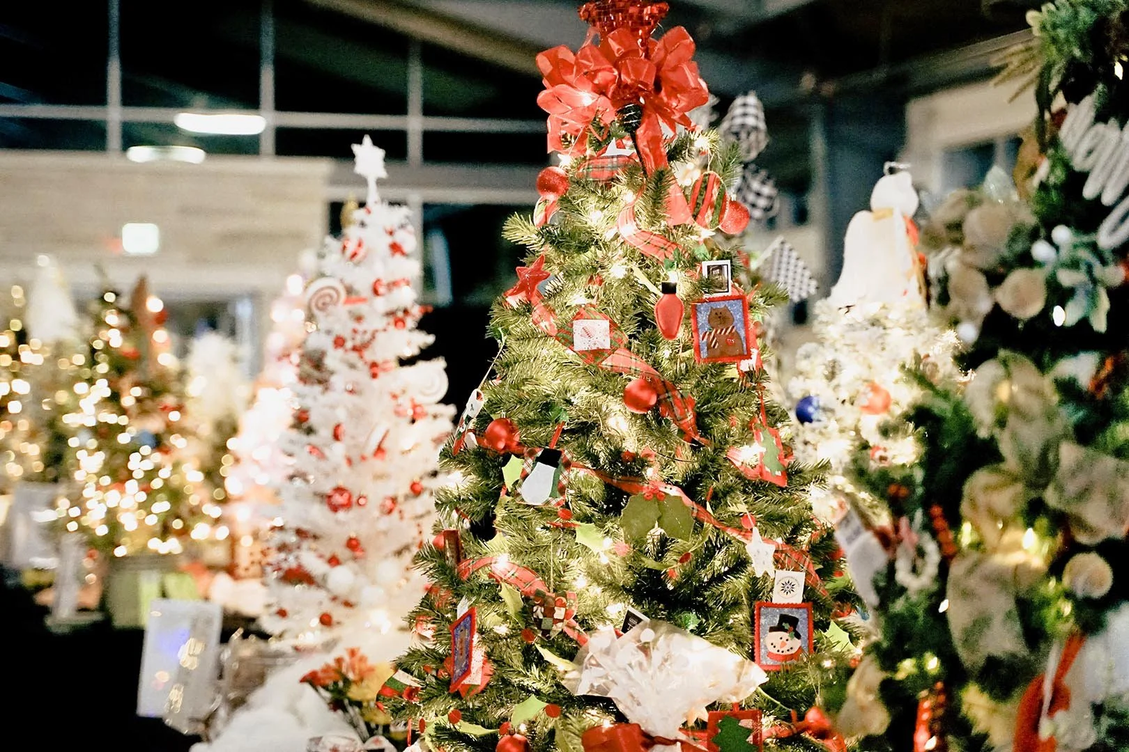 Decorated Christmas tree with red and white ornaments, ribbons, and lights, surrounded by other decorated Christmas trees in a festive display.