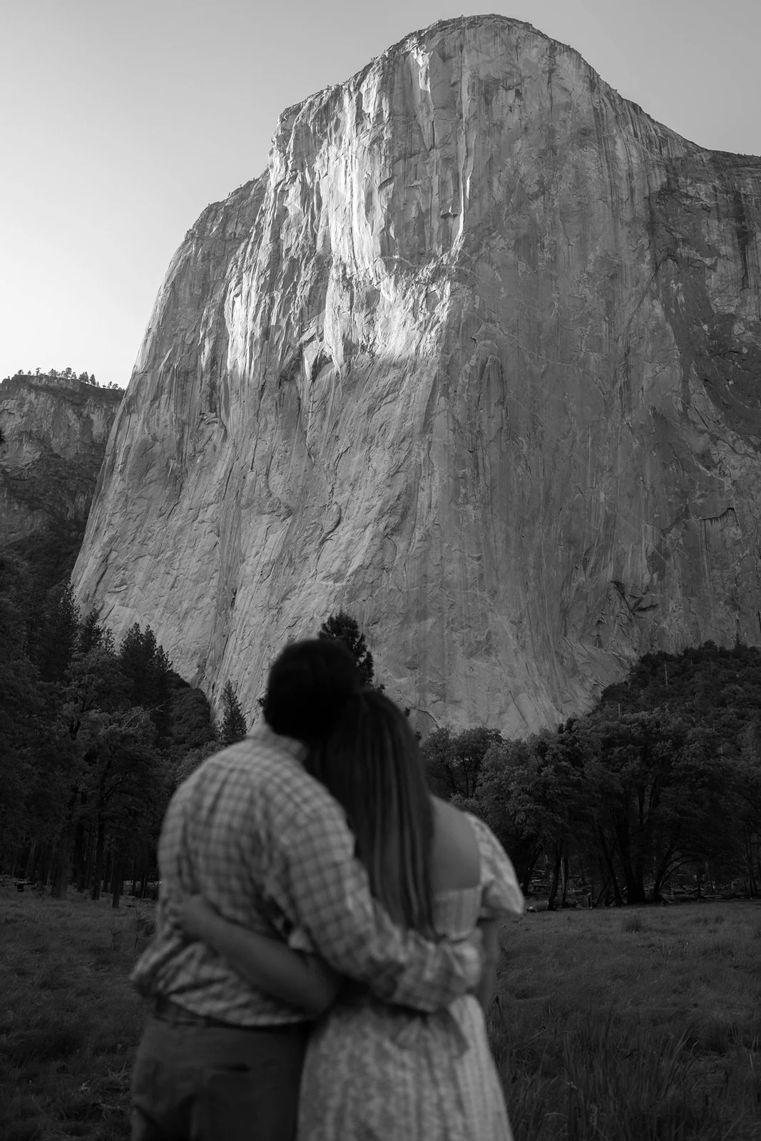el-cap-meadow-engagement-6.jpg