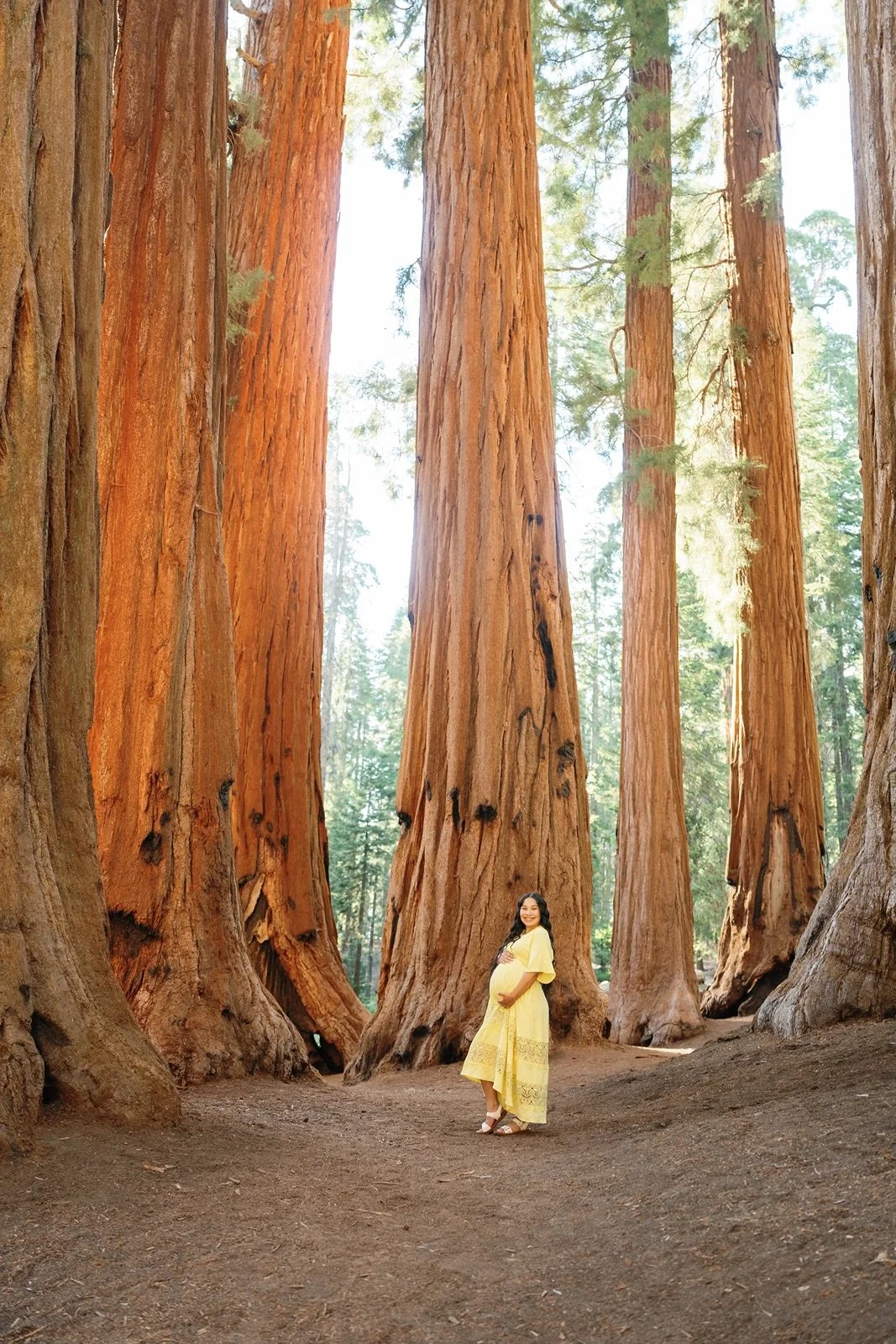 sequoia-national-park-maternity-photos59.jpg