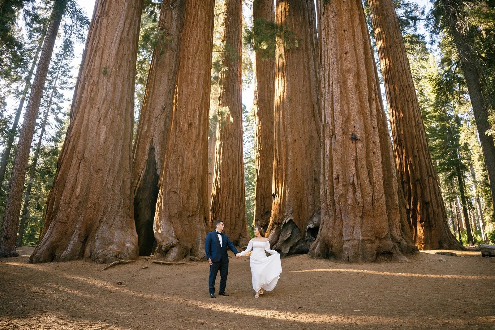 sequoia-national-park-elopement276.jpg