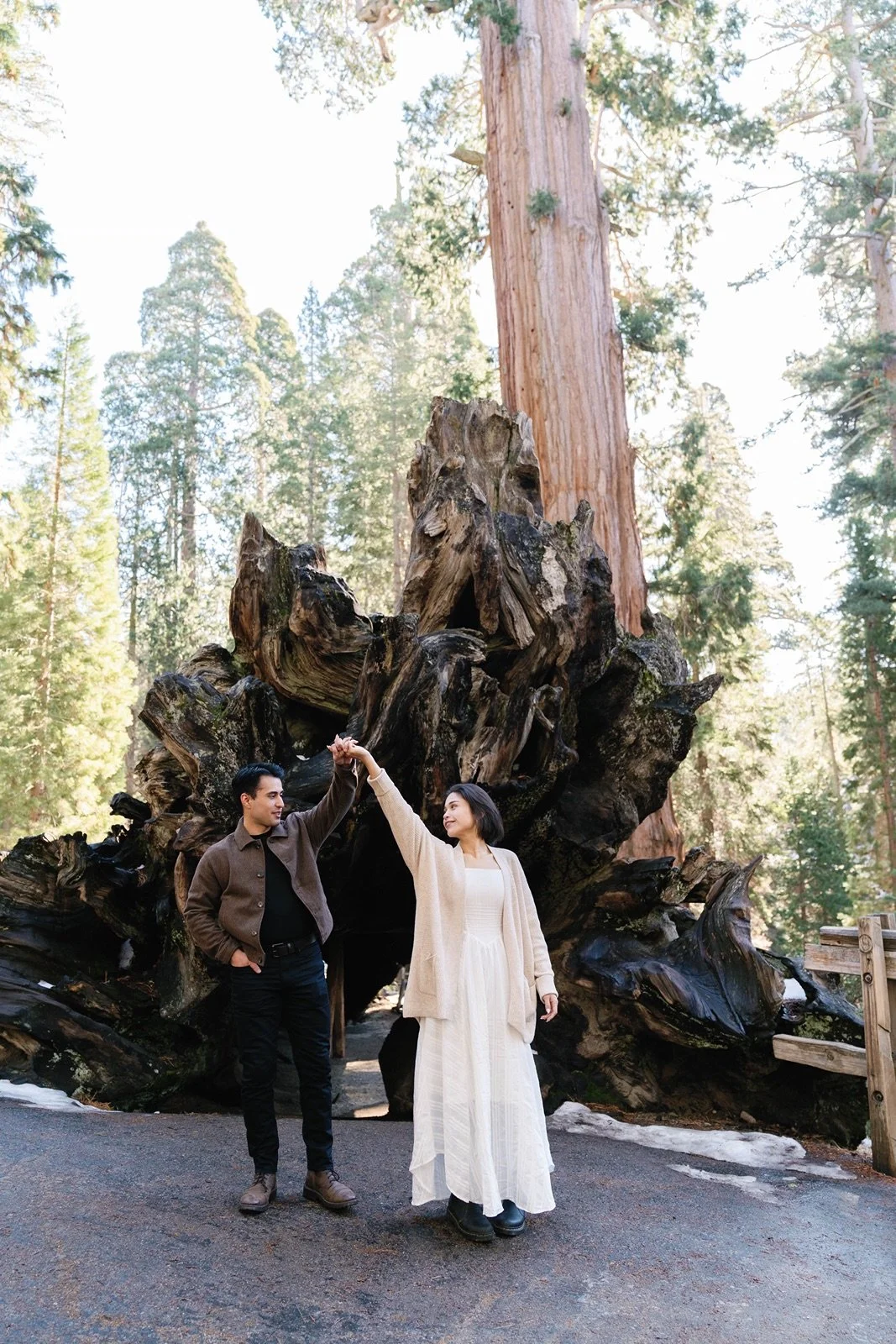 sequoia-national-park-proposal-engagement-17.jpg