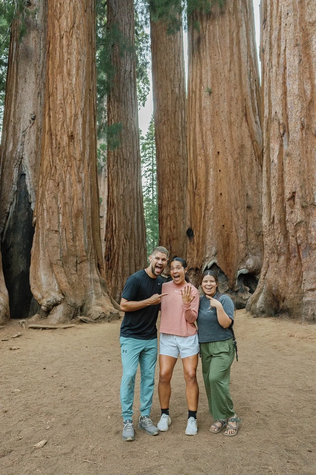 sequoia-national-park-engagment-session-5.jpg