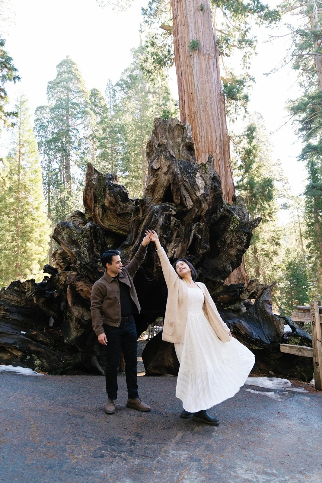 sequoia-national-park-proposal-engagement-16.jpg