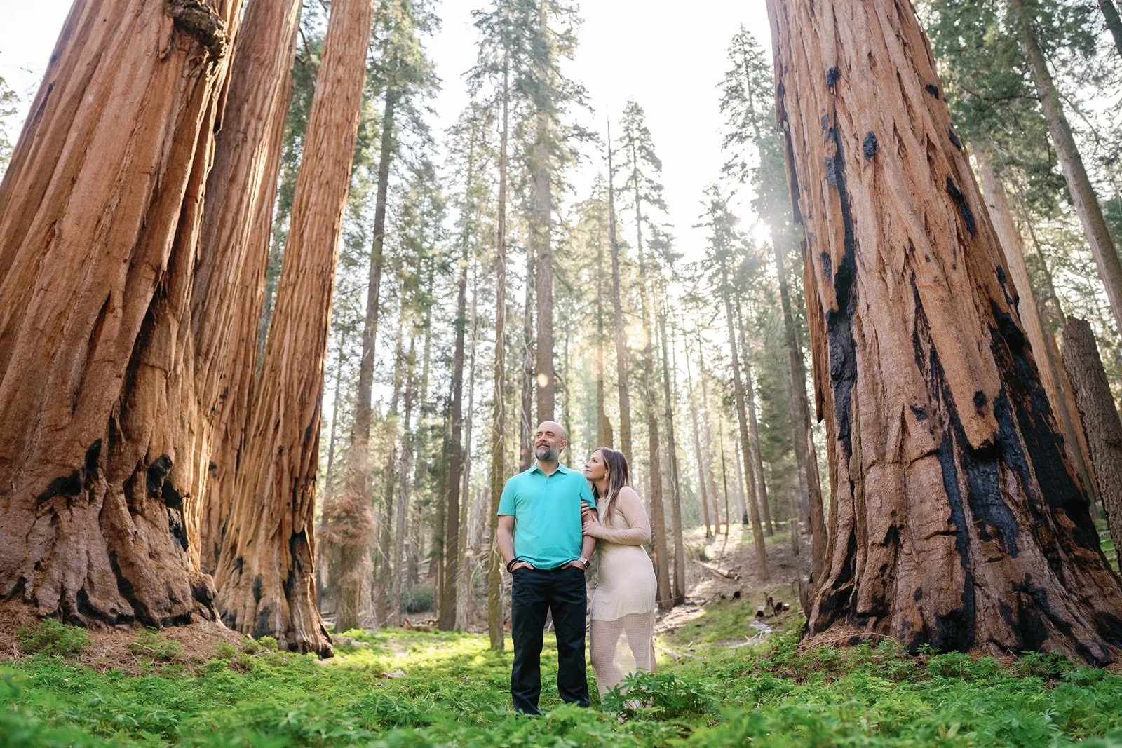 sequoia-national-park-wedding-photographer5.jpg