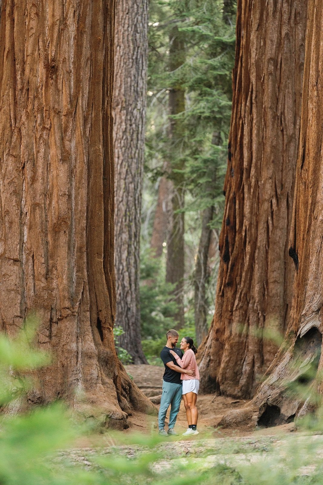 sequoia-national-park-engagment-session-49.jpg