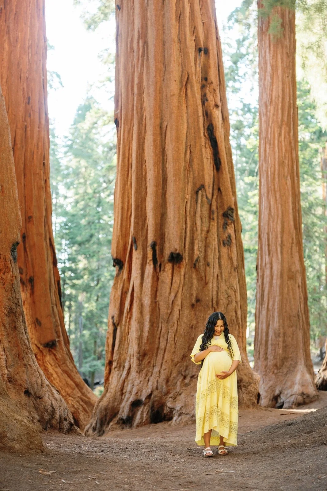 sequoia-national-park-maternity-photos66.jpg