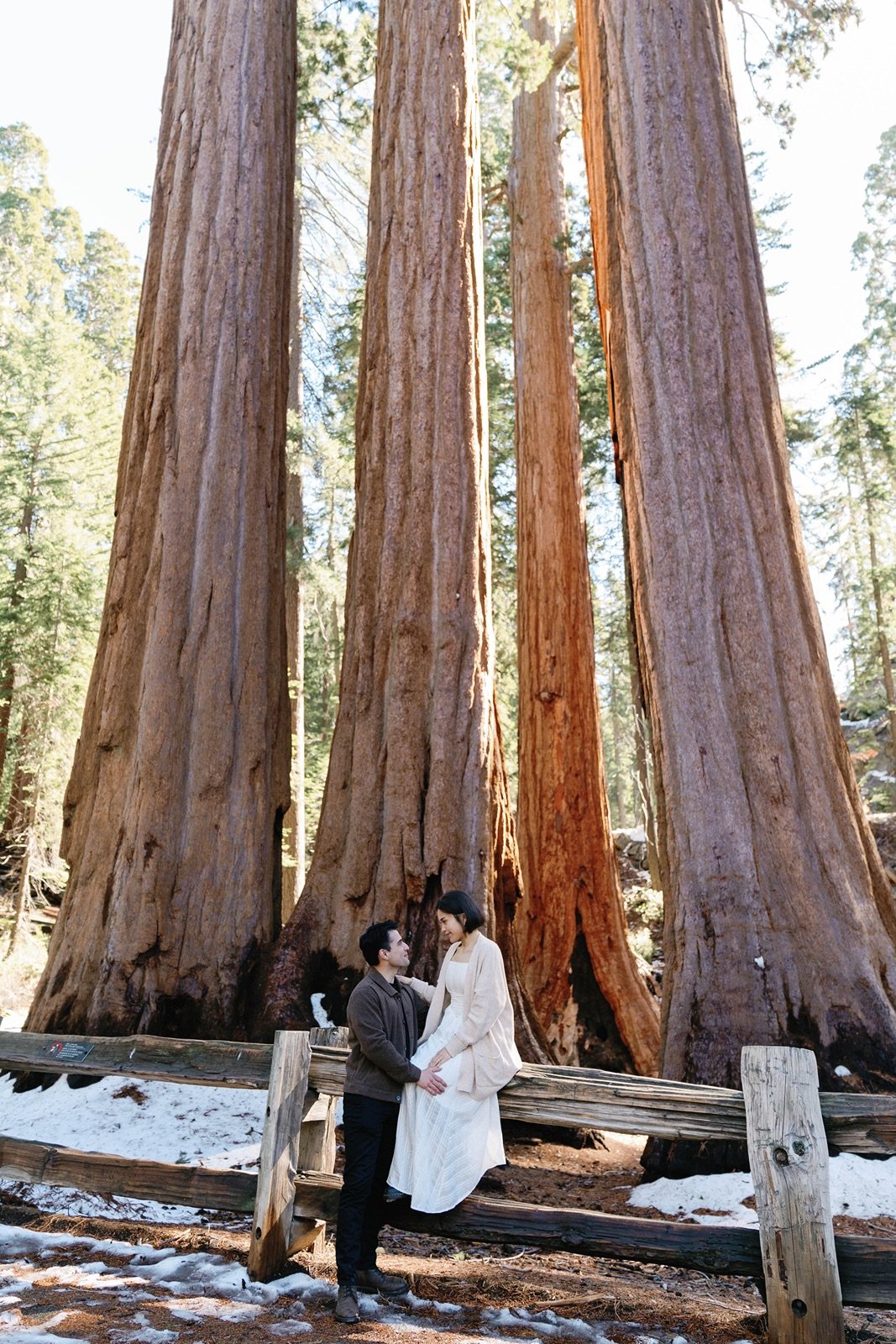 sequoia-national-park-proposal-engagement-6.jpg