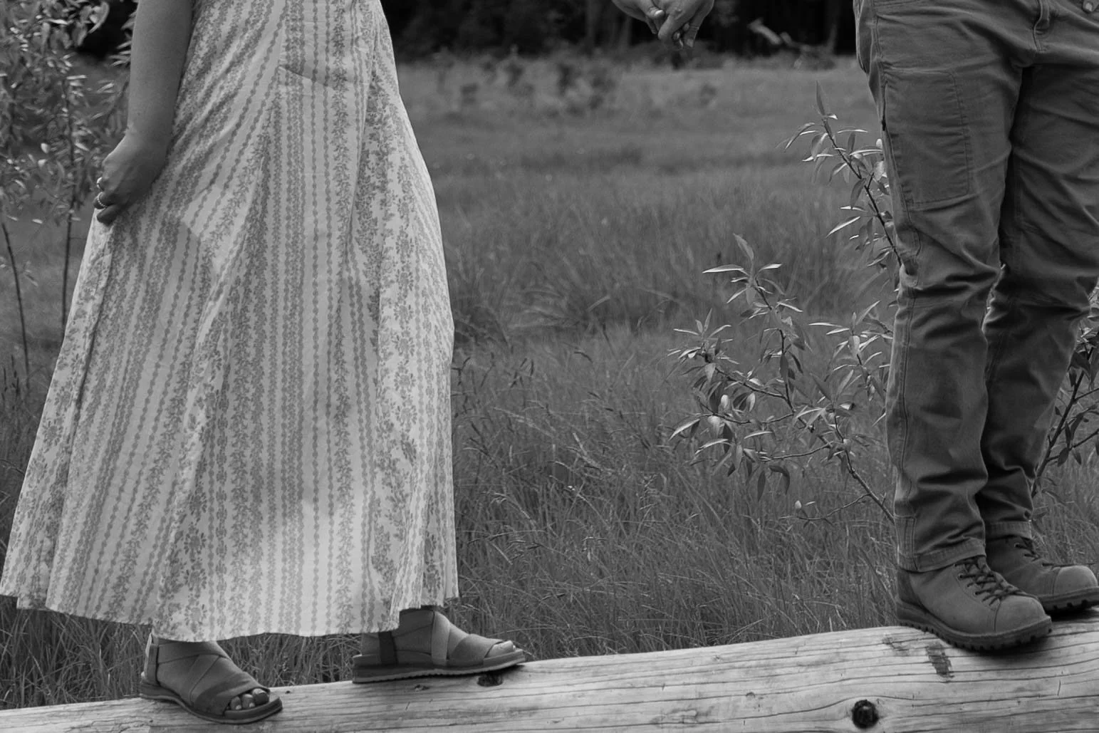 el-capitan-meadow-photo-session-13.jpg