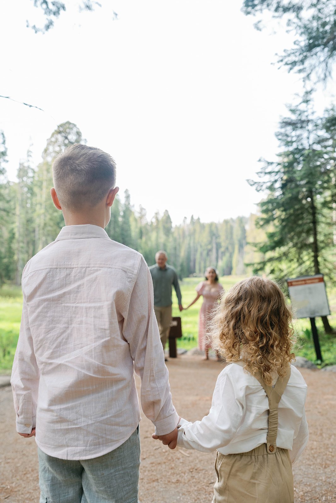 sequoia-park-photos-with-family-9.jpg