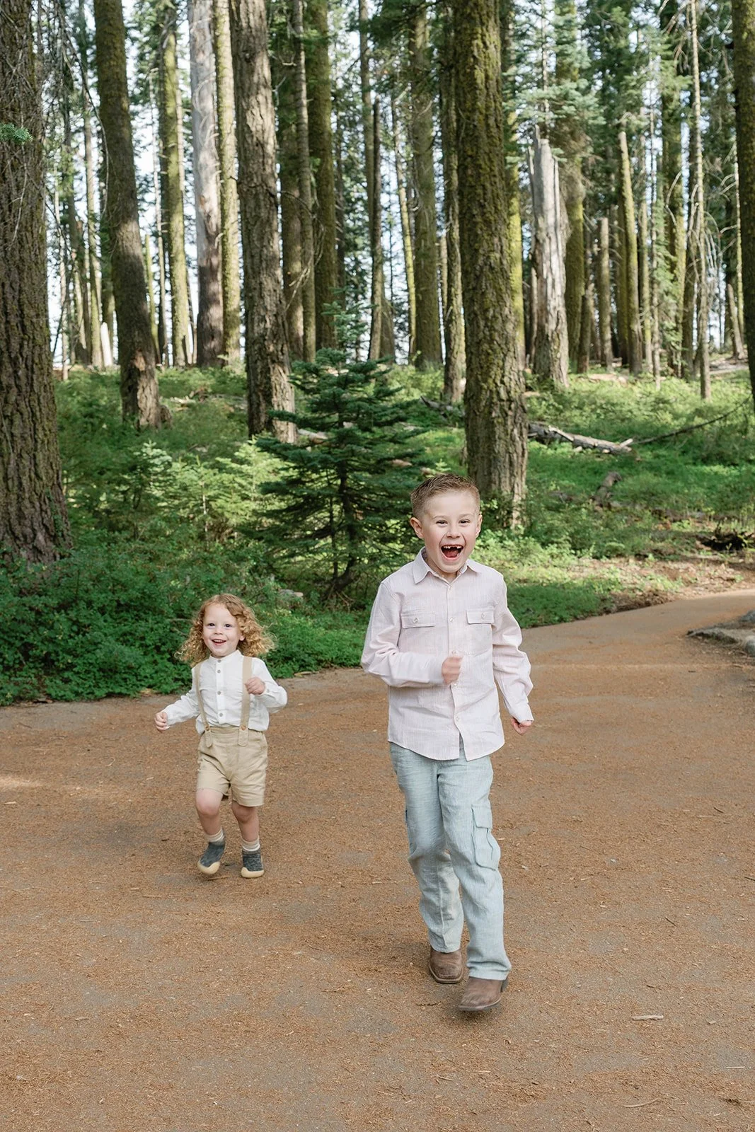 sequoia-park-photos-with-family-11.jpg