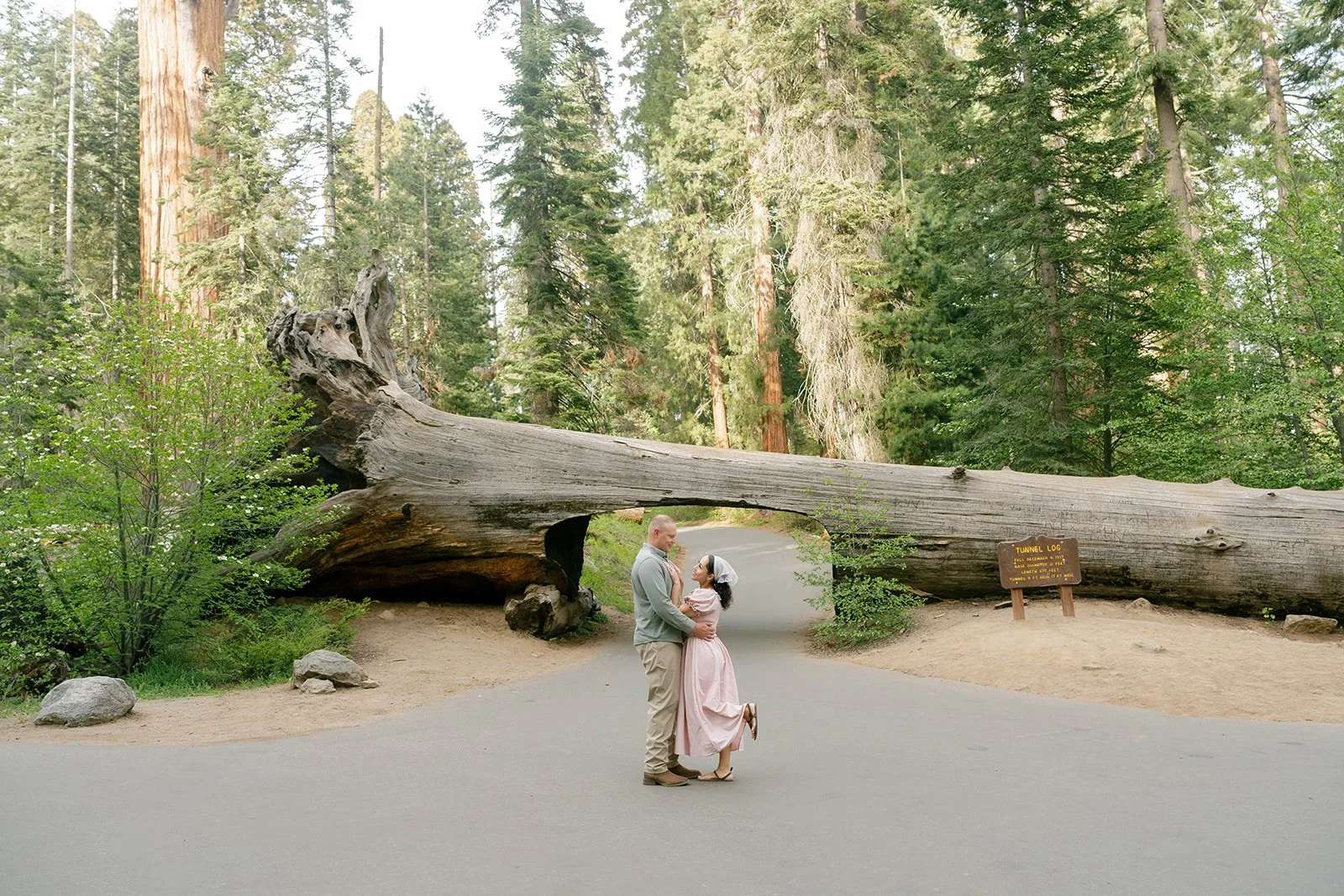 sequoia-park-photos-with-family-17.jpg