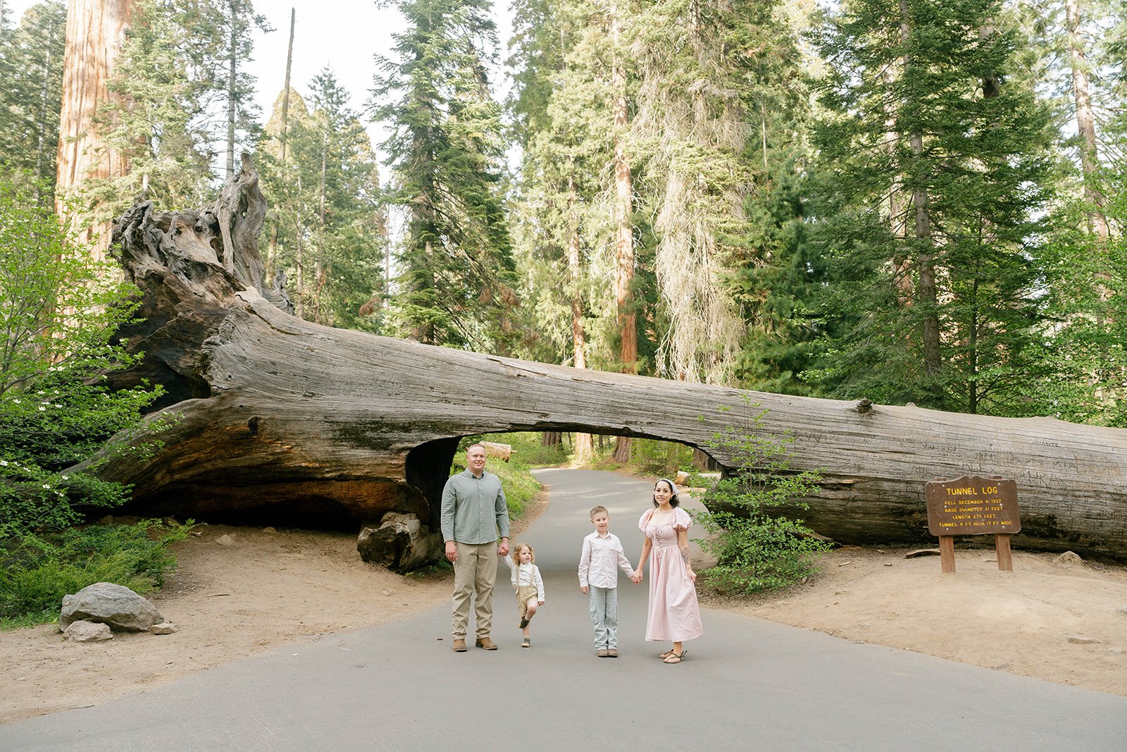 sequoia-park-photos-with-family-16.jpg