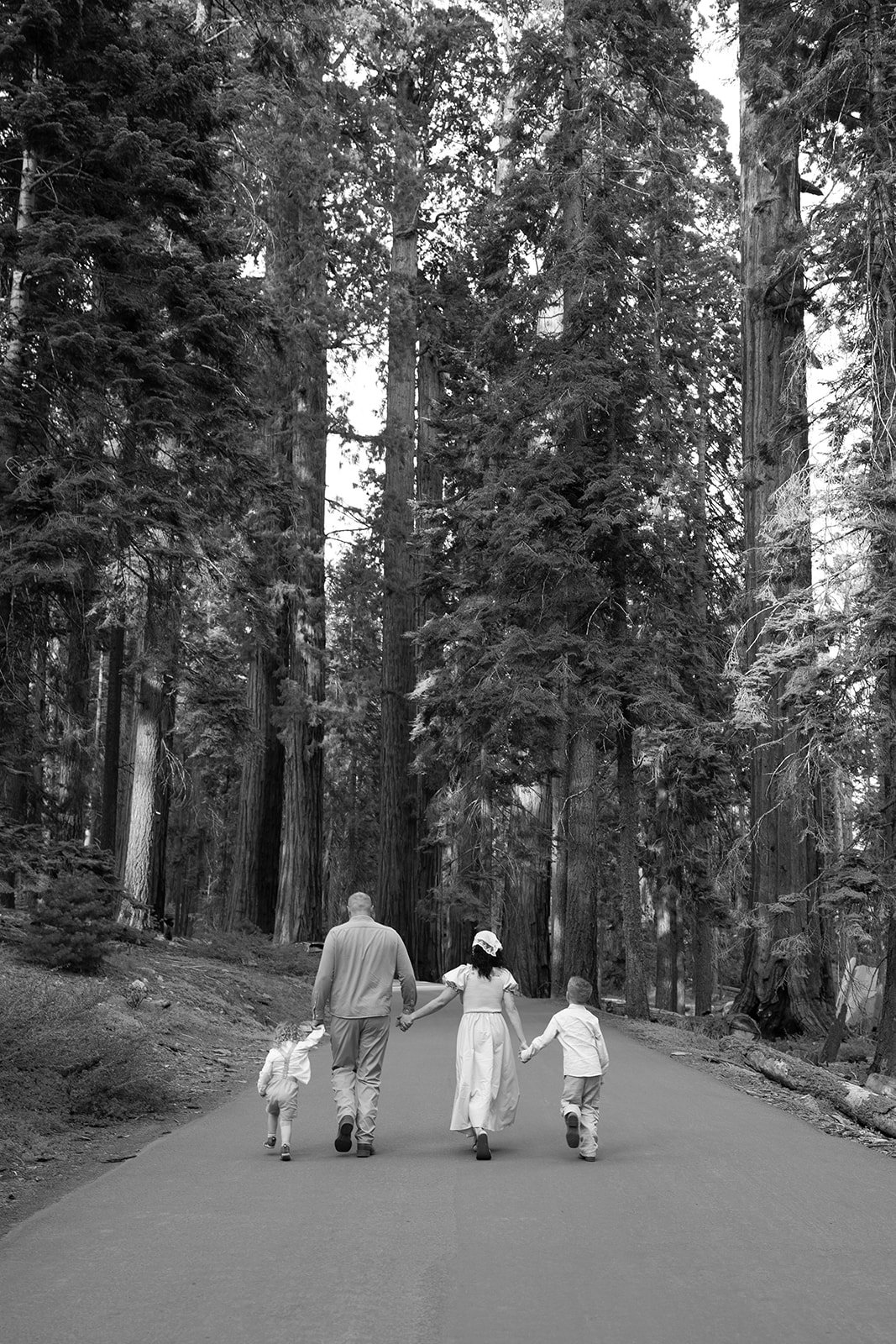 sequoia-park-photos-with-family-18.jpg