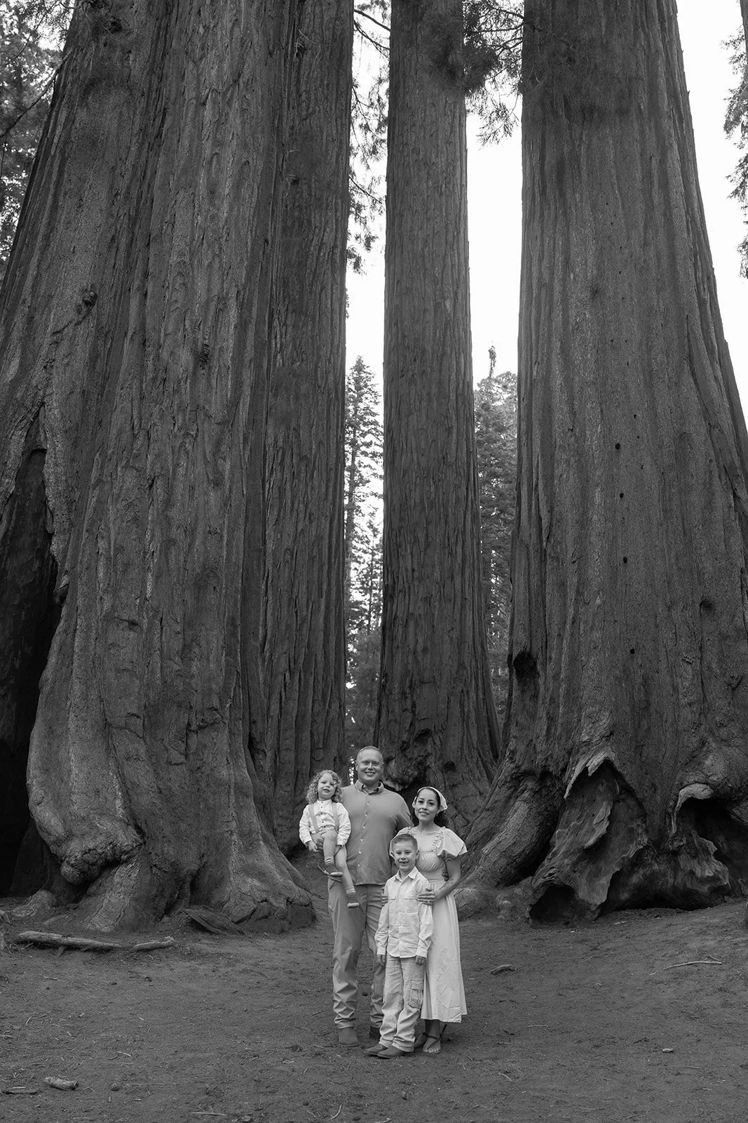 sequoia-park-photos-with-family-19.jpg