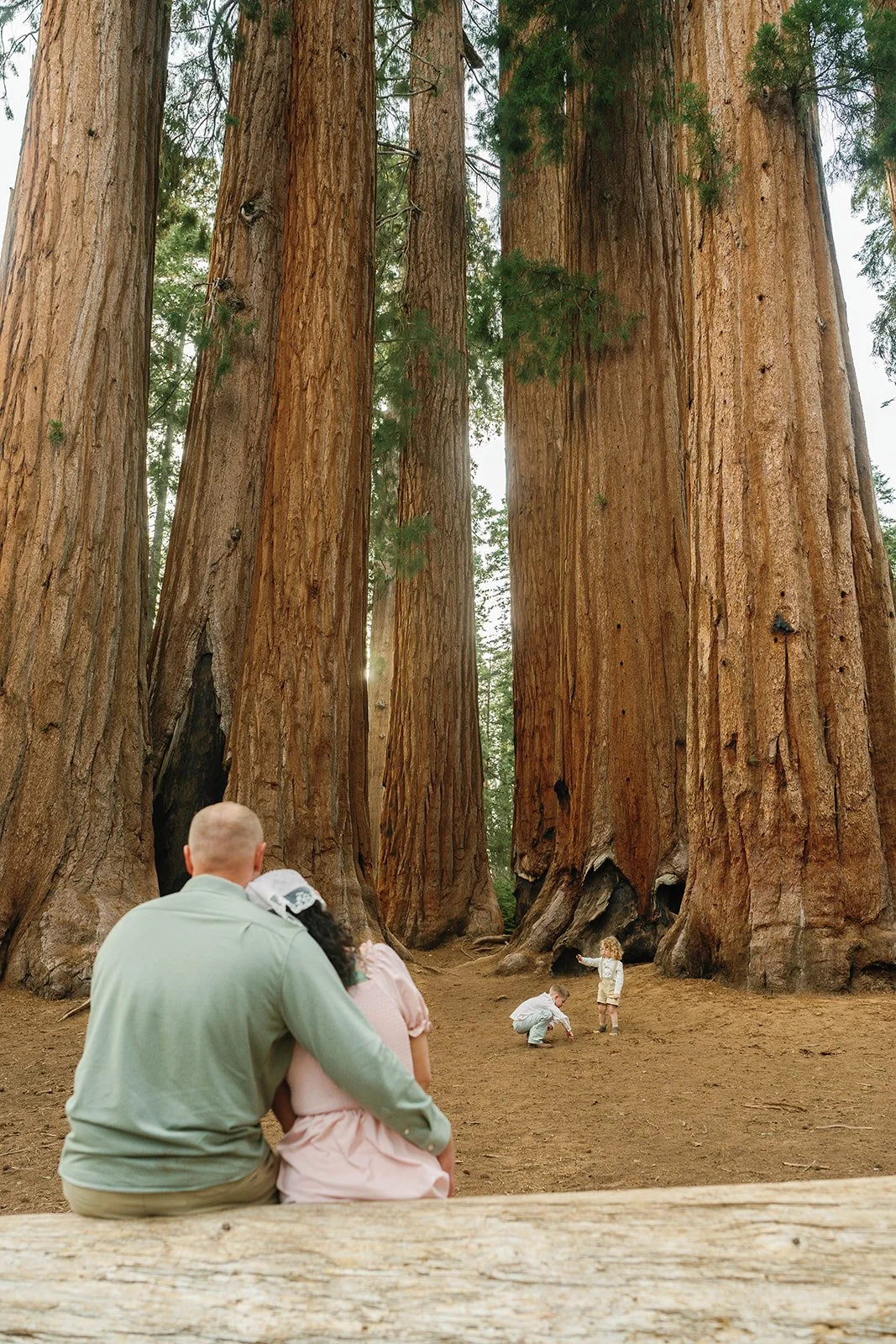 Parents watch on as children play during Sequoia Park photo session