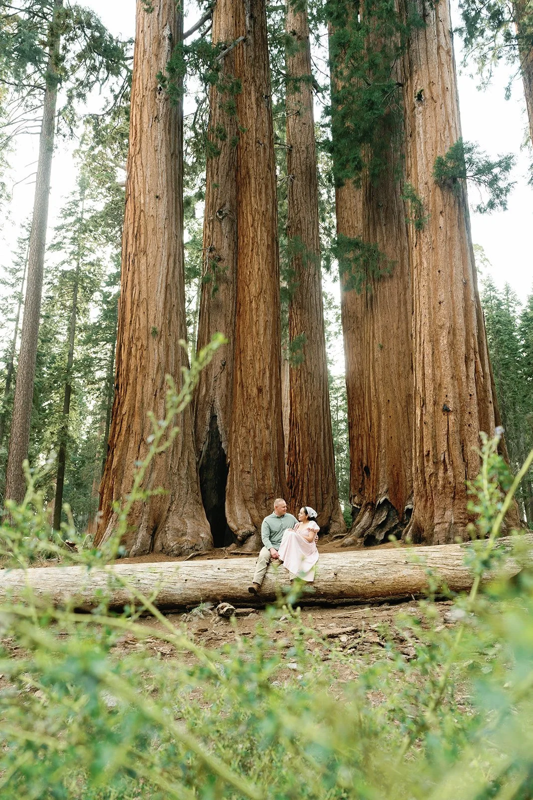 couple-poses-for-sequoia-park-photos.jpg