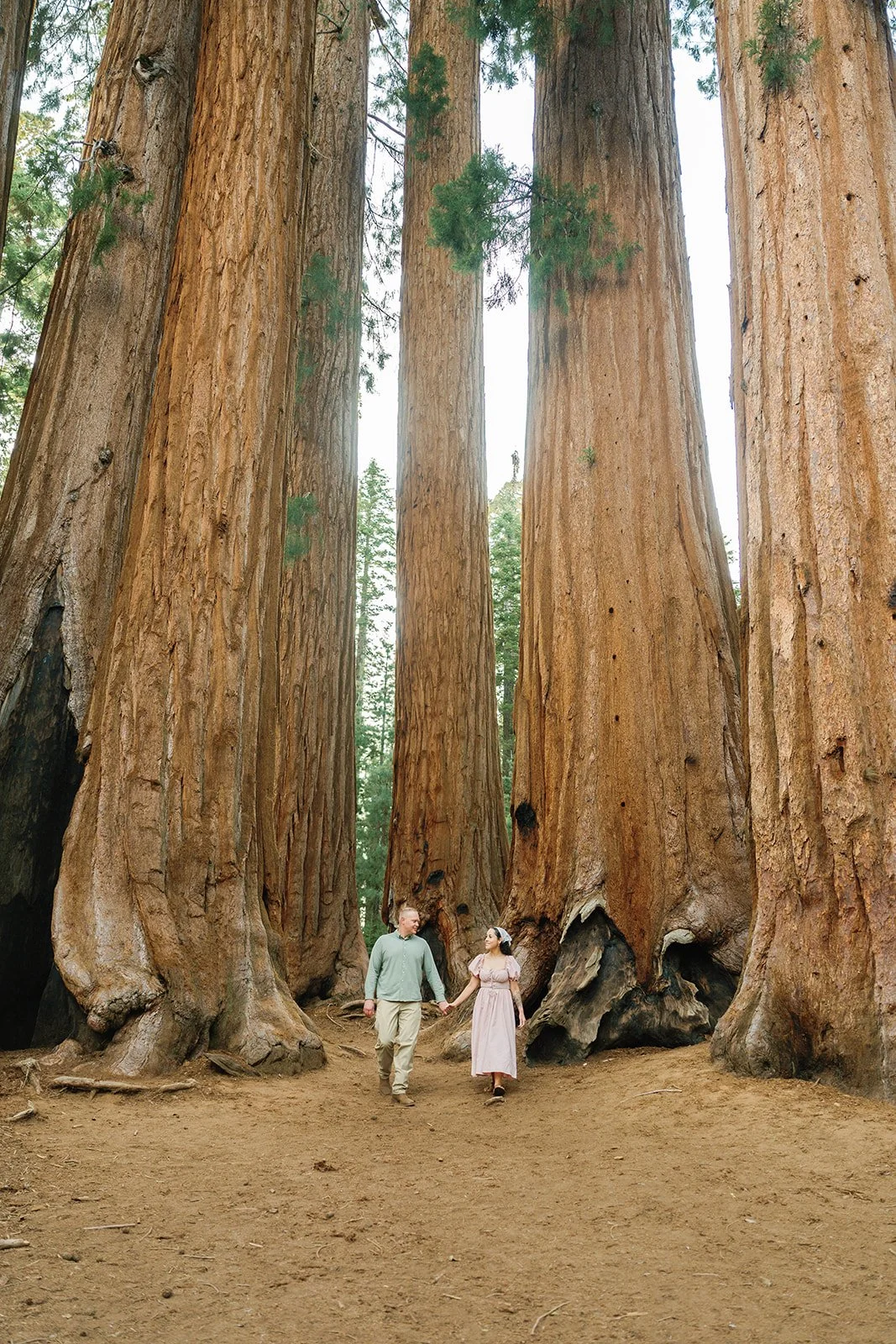 sequoia-park-photos-with-family-31.jpg