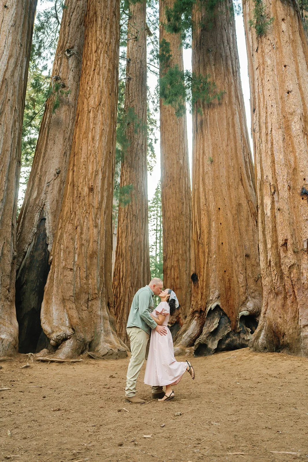 sequoia-park-photos-with-family-32.jpg