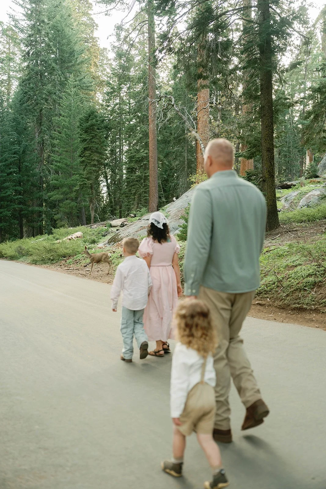 Family walks in Sequoia Park during family photoshoot