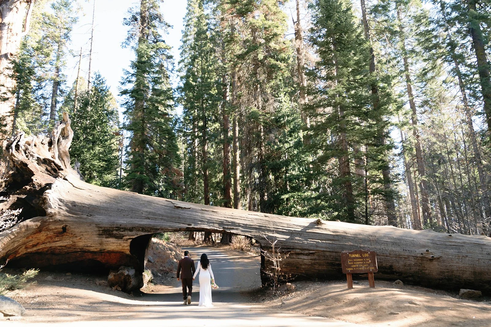 sequoia-elopements-14.jpg