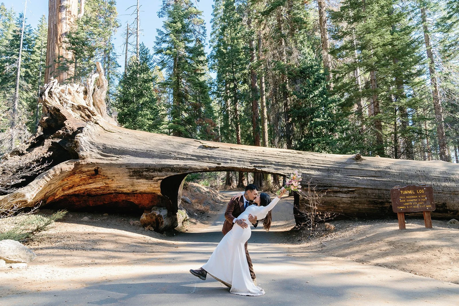 sequoia-elopements-15.jpg