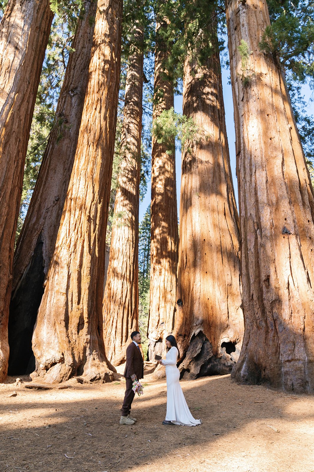 sequoia-elopements-19.jpg
