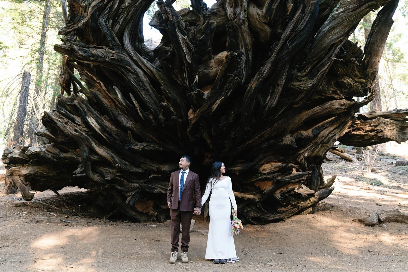 sequoia-elopement-photos.jpg