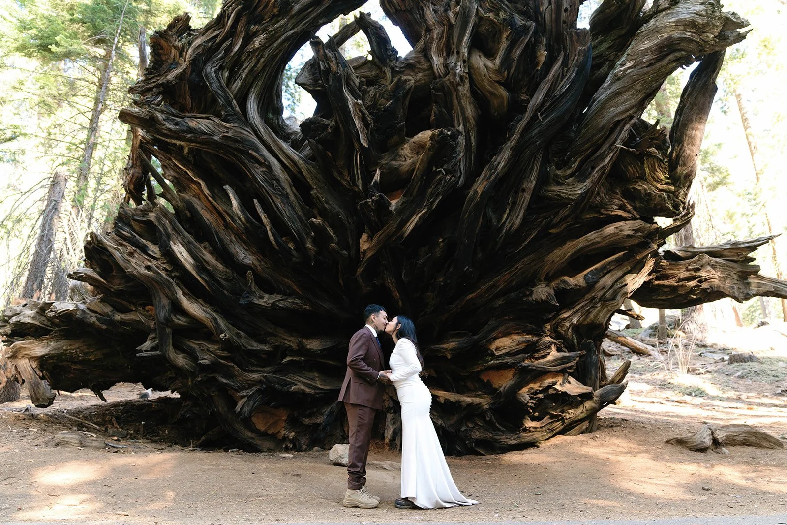 sequoia-elopements-26.jpg