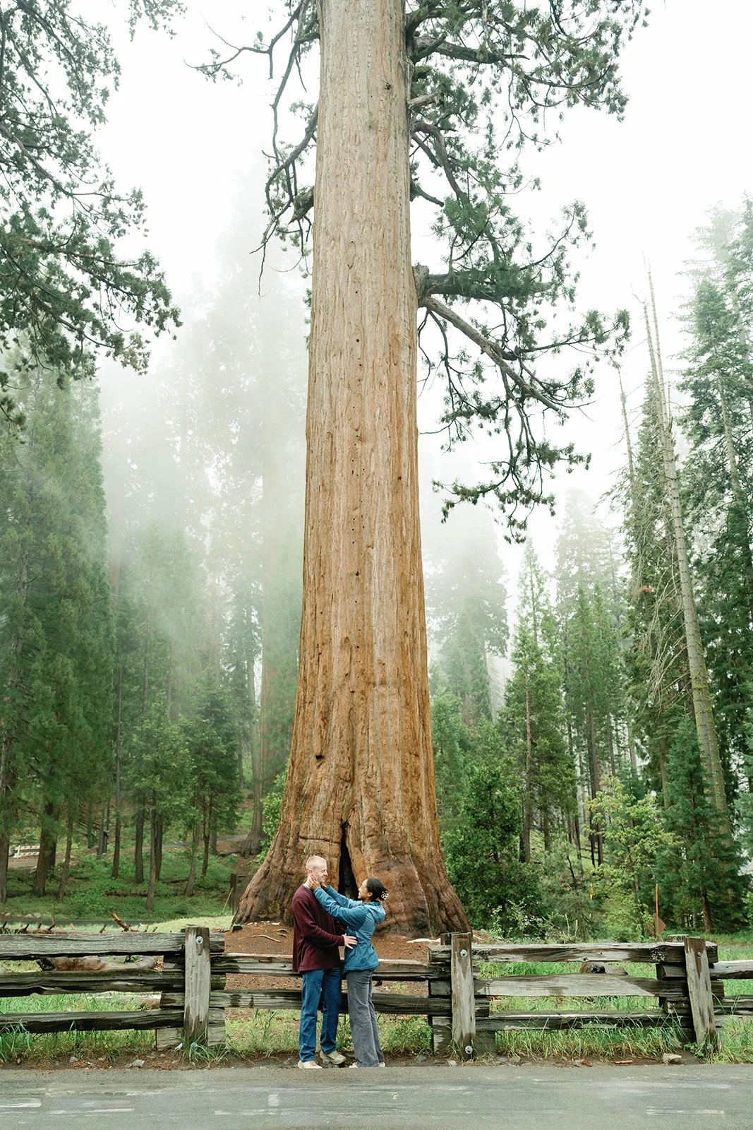 sequoia-national-park-proposal-13.jpg