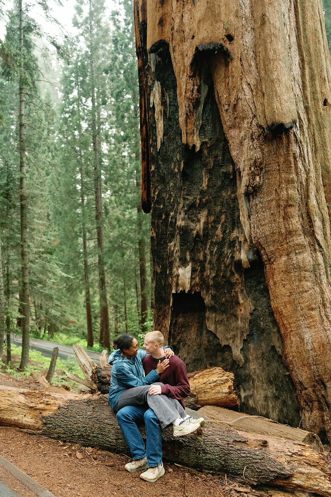 sequoia-national-park-proposal-19.jpg