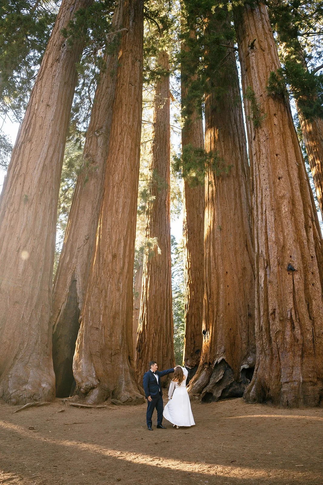 couple in Sequoia National Park during their elopement