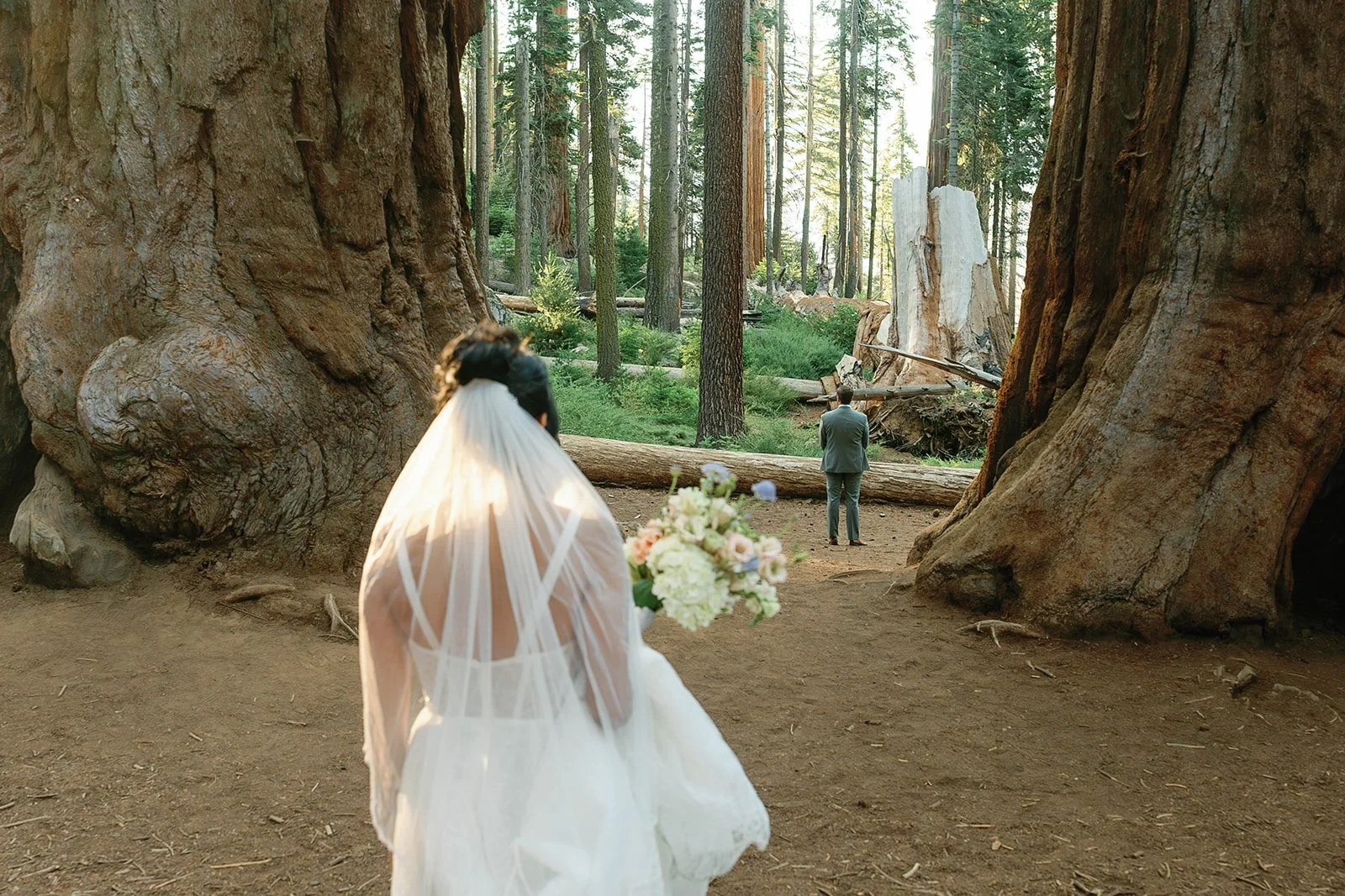 first-look-before-lost-grove-elopement-ceremony-6.jpg