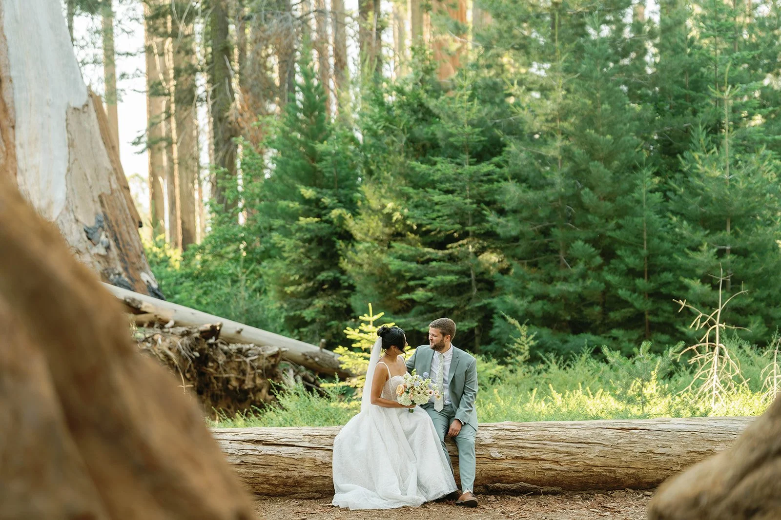 first-look-before-lost-grove-elopement-ceremony-4.jpg